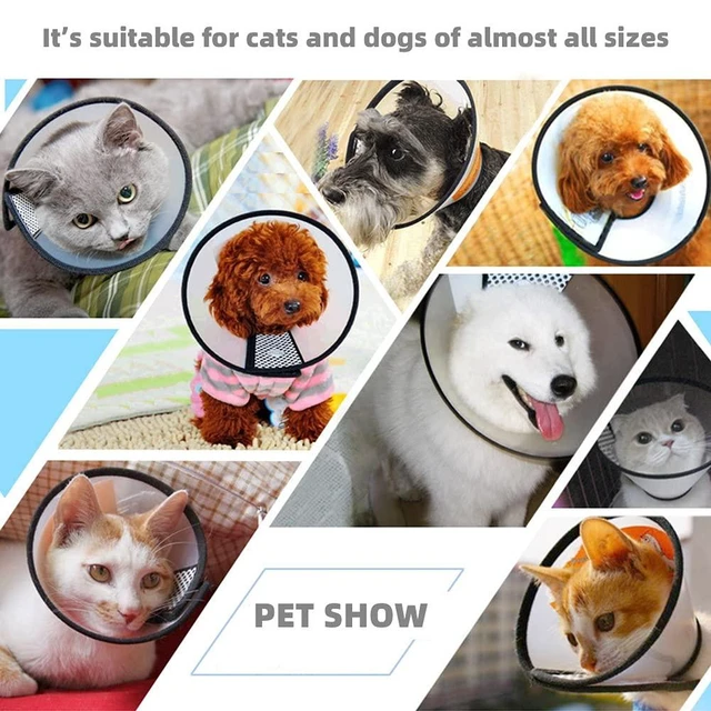 Alt view image 5 of 6 - Plastic Pet Recovery Collars & Cones for Dogs and Cats After Surgery Adjustable Dog Neck Cone Surgical Elizabeth E-Collar Prevent Biting and Stop Licking Wound (S)