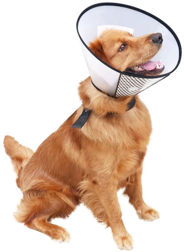 Alt view image 6 of 6 - Plastic Pet Recovery Collars & Cones for Dogs and Cats After Surgery Adjustable Dog Neck Cone Surgical Elizabeth E-Collar Prevent Biting and Stop Licking Wound (S)