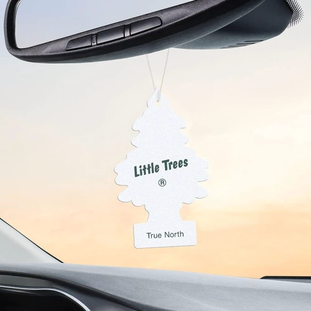 Alt view image 4 of 7 - Air Fresheners, True North (Pack of 12)