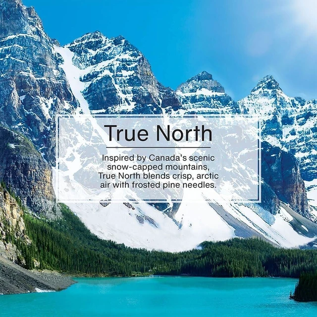 Alt view image 5 of 7 - Air Fresheners, True North (Pack of 12)