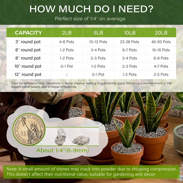 Alt view image 2 of 7 - 1/4" 2LB Pumice for Plants Indoor, Succulent, Cactus, Landscaping | Horticultural Pumice for Bonsai Mix Soil Amendments, Natural Drainage Rocks for Potted Plants, Orchid, Small Stone for Garden