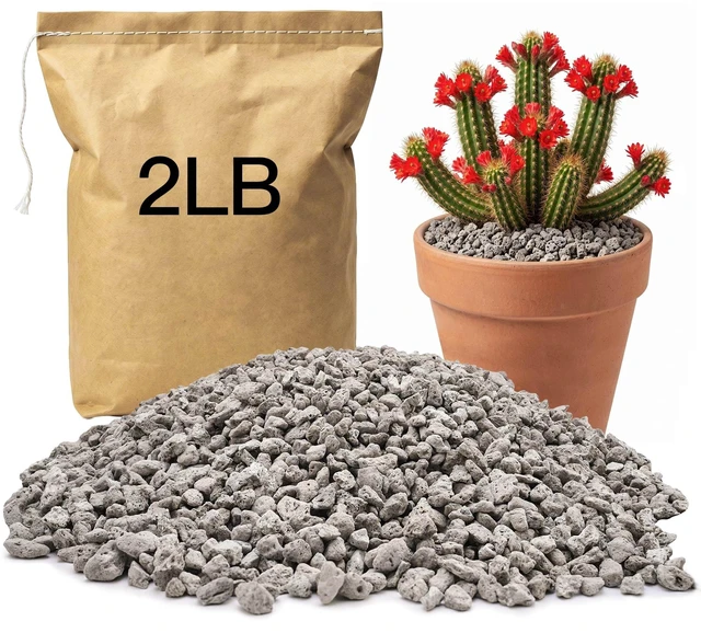 Main image of 1/4" 2LB Pumice for Plants Indoor, Succulent, Cactus, Landscaping | Horticultural Pumice for Bonsai Mix Soil Amendments, Natural Drainage Rocks for Potted Plants, Orchid, Small Stone for Garden