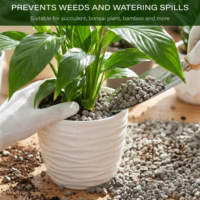 Alt view image 5 of 7 - 1/4" 2LB Pumice for Plants Indoor, Succulent, Cactus, Landscaping | Horticultural Pumice for Bonsai Mix Soil Amendments, Natural Drainage Rocks for Potted Plants, Orchid, Small Stone for Garden