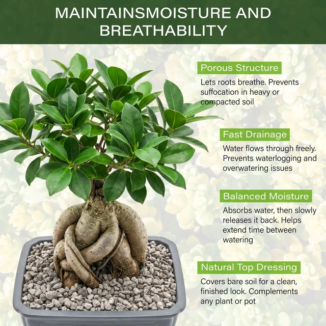 Alt view image 3 of 7 - 1/4" 2LB Pumice for Plants Indoor, Succulent, Cactus, Landscaping | Horticultural Pumice for Bonsai Mix Soil Amendments, Natural Drainage Rocks for Potted Plants, Orchid, Small Stone for Garden