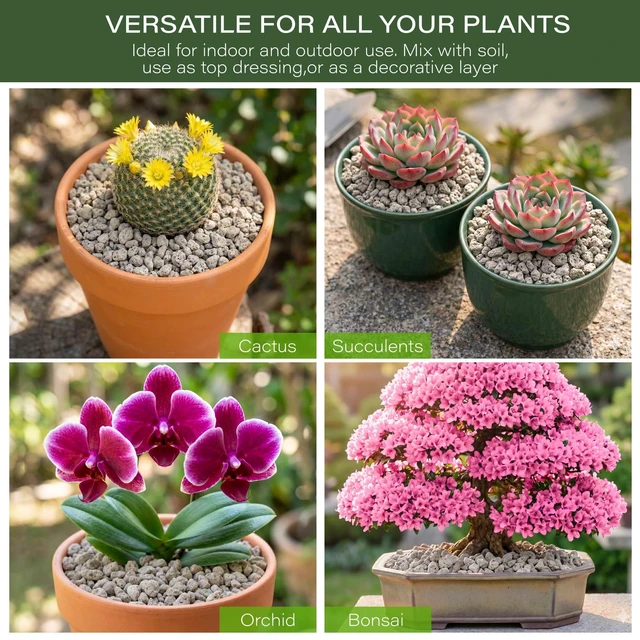 Alt view image 4 of 7 - 1/4" 2LB Pumice for Plants Indoor, Succulent, Cactus, Landscaping | Horticultural Pumice for Bonsai Mix Soil Amendments, Natural Drainage Rocks for Potted Plants, Orchid, Small Stone for Garden