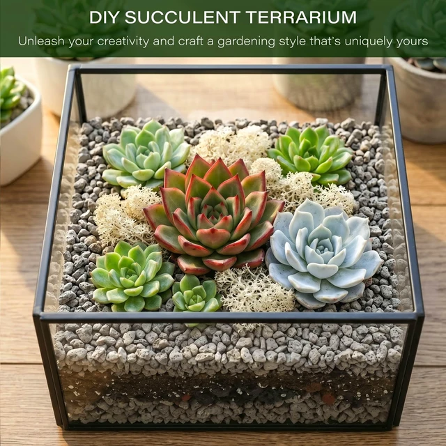 Alt view image 7 of 7 - 1/4" 2LB Pumice for Plants Indoor, Succulent, Cactus, Landscaping | Horticultural Pumice for Bonsai Mix Soil Amendments, Natural Drainage Rocks for Potted Plants, Orchid, Small Stone for Garden