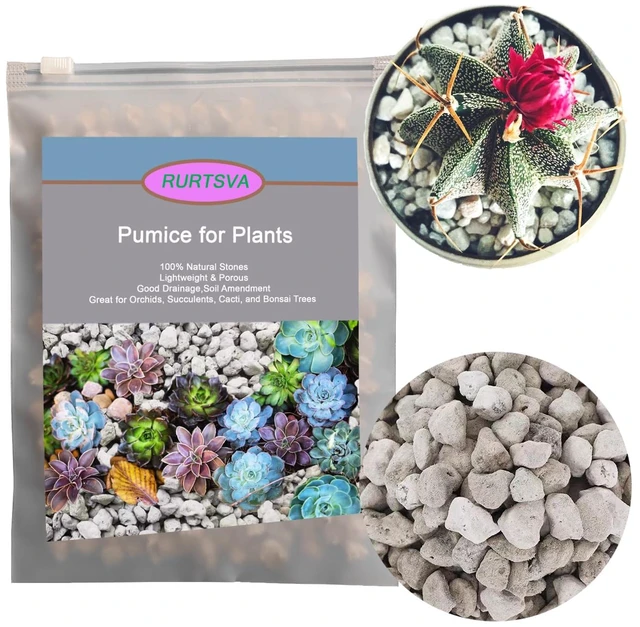 Main image of Horticultural Pumice for Plants, Natural Organic Pumice Stones for Succulent Cactus Bonsai Tree Orchid Potting Mixed, Improves Soil Aeration and Drainage, Promotes Root (2QT)