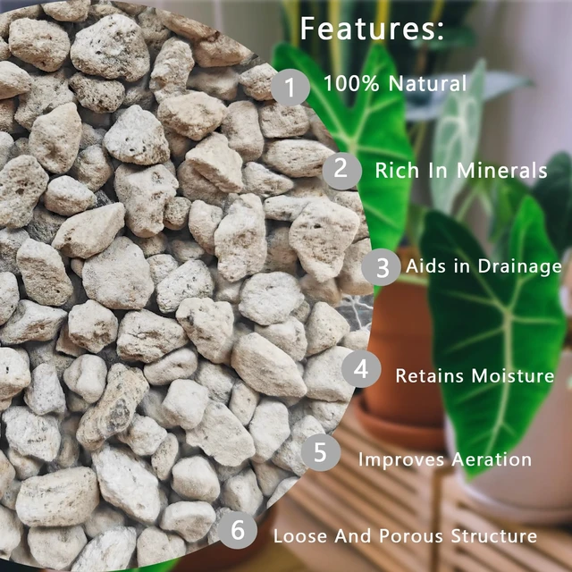 Alt view image 2 of 7 - Horticultural Pumice for Plants, Natural Organic Pumice Stones for Succulent Cactus Bonsai Tree Orchid Potting Mixed, Improves Soil Aeration and Drainage, Promotes Root (2QT)