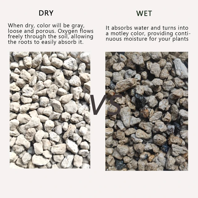 Alt view image 3 of 7 - Horticultural Pumice for Plants, Natural Organic Pumice Stones for Succulent Cactus Bonsai Tree Orchid Potting Mixed, Improves Soil Aeration and Drainage, Promotes Root (2QT)