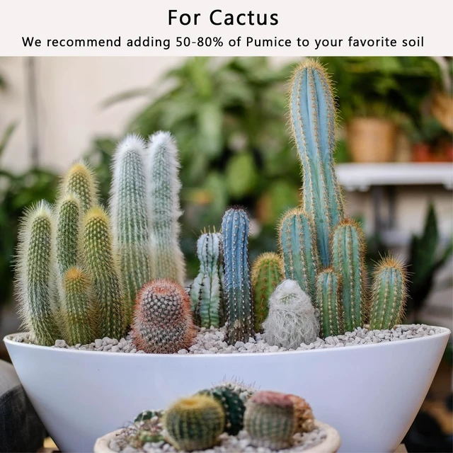 Alt view image 5 of 7 - Horticultural Pumice for Plants, Natural Organic Pumice Stones for Succulent Cactus Bonsai Tree Orchid Potting Mixed, Improves Soil Aeration and Drainage, Promotes Root (2QT)