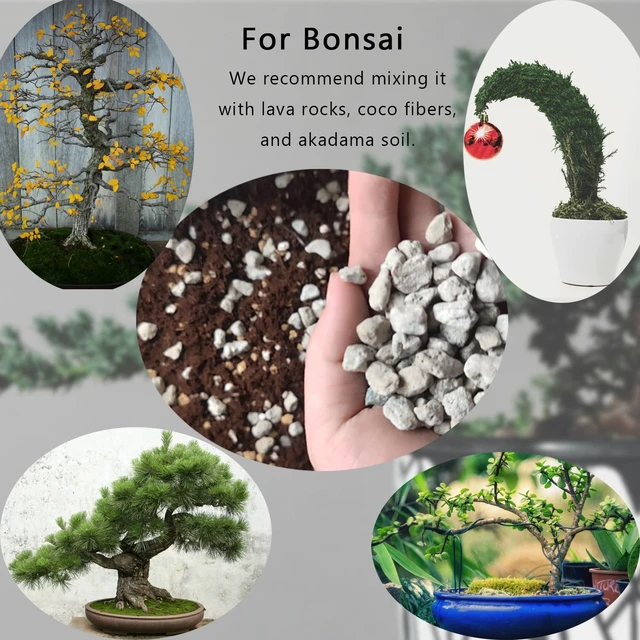 Alt view image 4 of 7 - Horticultural Pumice for Plants, Natural Organic Pumice Stones for Succulent Cactus Bonsai Tree Orchid Potting Mixed, Improves Soil Aeration and Drainage, Promotes Root (2QT)