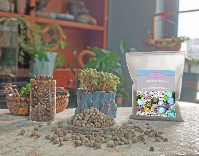 Alt view image 6 of 7 - Horticultural Pumice for Plants, Natural Organic Pumice Stones for Succulent Cactus Bonsai Tree Orchid Potting Mixed, Improves Soil Aeration and Drainage, Promotes Root (2QT)