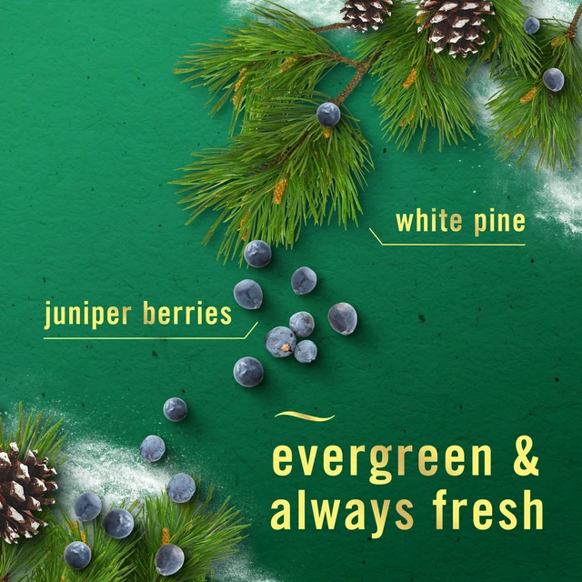 Alt view image 4 of 7 - Plug In Air Freshener, Odor-Fighting Scented Oil Refill, Holiday Mix, 3 Refills, Clear