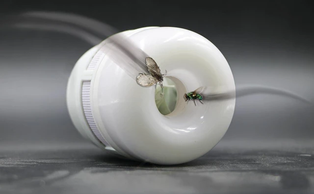 Alt view image 2 of 7 - Flylight LED Flying Insect Trap Light Bulb | Built-in internal vacuum automatically attracts, suctions & traps flying bugs
