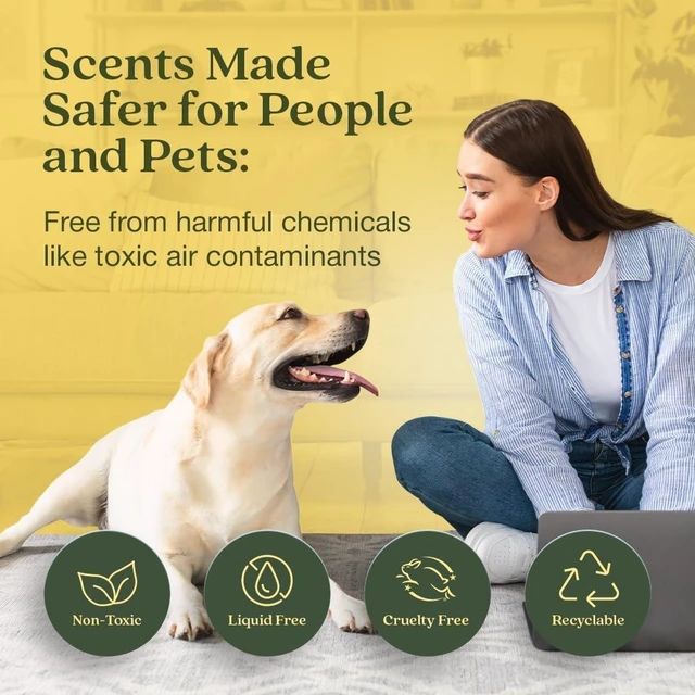 Alt view image 2 of 6 - Non-Toxic* Air Freshener Plug-In Plug Hub® Kit for Home, 1 Pack | Non-Toxic* Air Freshener w/ Lemon Leaf & Thyme Scent | Fits Standard Outlets for Daily Use | Pet-Friendly w/ Paper Refill