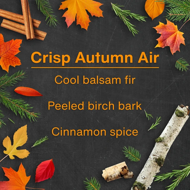 Alt view image 4 of 7 - Car Air Freshener, 4 Count (Pack of 6), Crisp Autumn Air