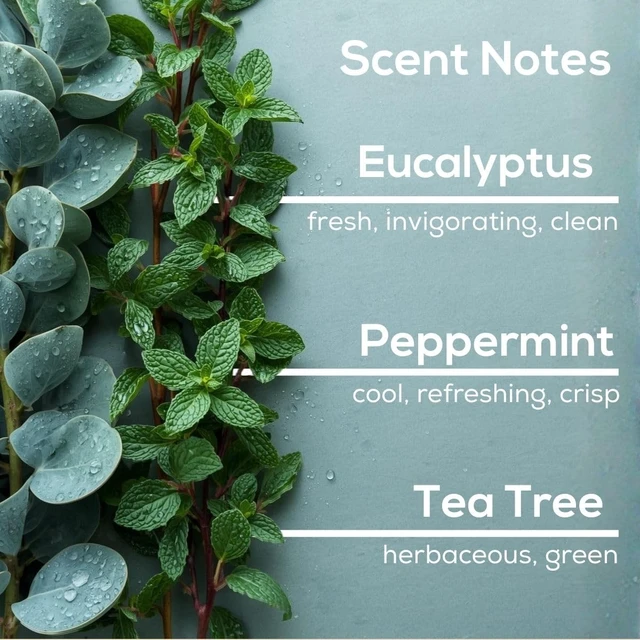 Alt view image 4 of 6 - Eucalyptus Spearmint Plug in Air Freshener, 4 Scented Oil Refills
