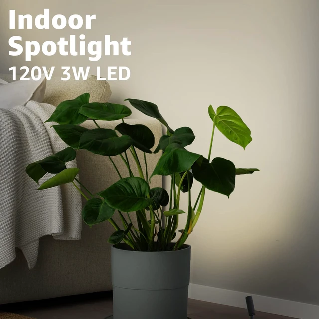 Alt view image 2 of 7 - 2 Pack 3W Plug in Spotlight Indoor 3000K LED Floor Uplighting Indoor | 120V Small Spot Lights, 5.9 FT Plug Cord with Foot Switch, Accent Lighting for Plants, Artworks, Corners