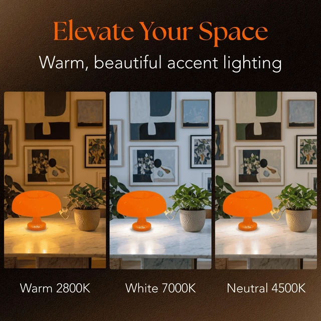 Alt view image 4 of 7 - Orange Mushroom Lamp Cordless Rechargeable Touch Dimmable Desk lamp | Wireless dimmable desk lamp, ideal for reading, studying, or decor
