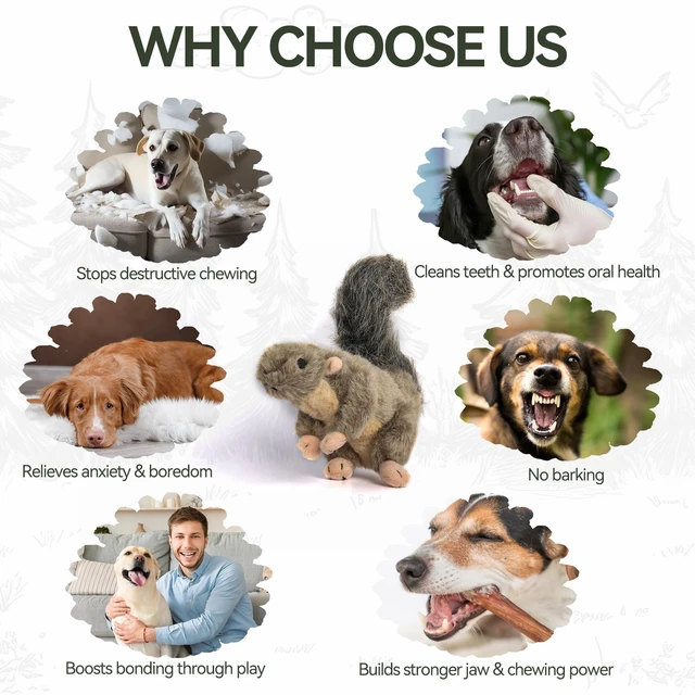 Alt view image 4 of 7 - Classic Squirrel Pet Toys, Small