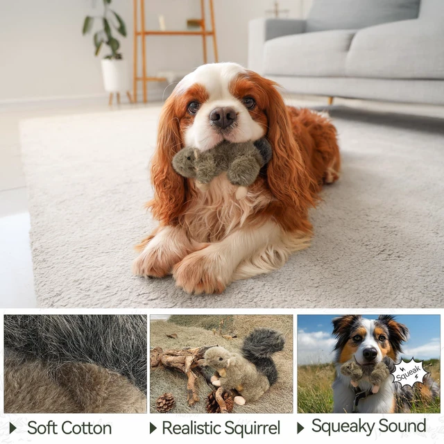Alt view image 5 of 7 - Classic Squirrel Pet Toys, Small
