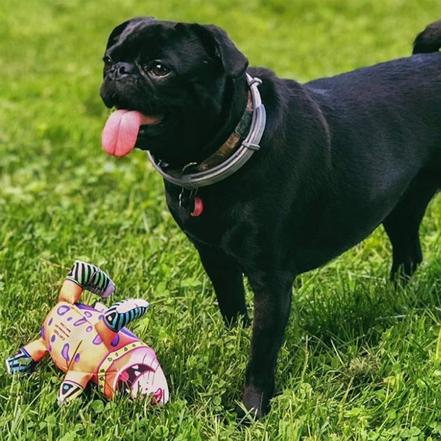 Alt view image 3 of 6 - that Sneacky Cat Scuff Dog Toy | Durable Squeaky Dog Toy | Rugged Dog Chew Toy | Medium