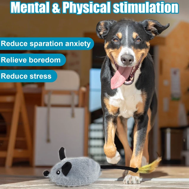 Alt view image 3 of 7 - Interactive Dog Toys, Fake Mouse Moving Dog Toy with Automatic Sensor | Dog Mouse Toy with Realistic Sound & Extended Tail, Automatic Dog Toy for Cats Dogs Pet, Squeaky Dog Toys Gray