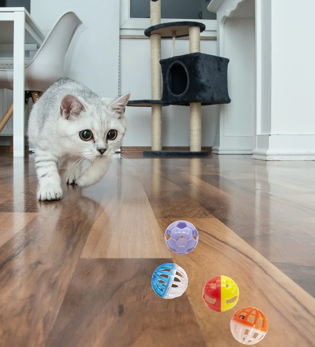 Alt view image 6 of 7 - 12PCS Value Pack Plastic Ball Cat Toys Lattice Balls with Bell Jingle Kitten Toy,Gift Box 1.5" 6 Styles