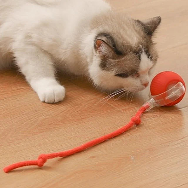 Main image of Cat and Small Dog Toy Ball with Tail Rope, Red | Smart Rolling Ball, LED Light, Electric Self-Rolling, Interactive Jumping Ball, Automatic Teaser
