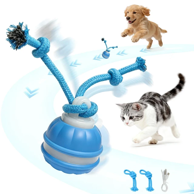 Main image of Interactive Dog & Cat Toy, Auto Chirping Ball, Rechargeable Self Play | Motion activated, chirp sound, USB-C fast charge, durable, indoor play, boredom relief for small dog & cat blue