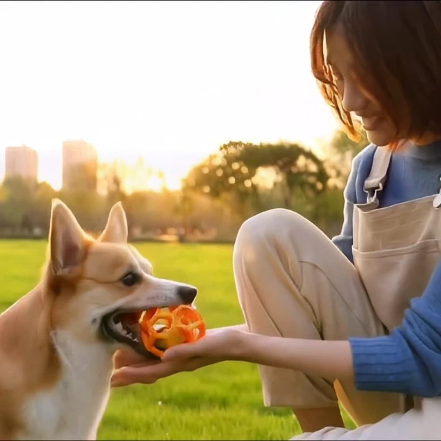 Alt view image 6 of 7 - 2PCS pet Bell Ball Toy,Suitable for Dogs, Cats, and Other Animals. Safe and Durable, bite-Resistant Design, Interactive Toy, Promotes Activity, an Essential Daily Plaything for Pets.