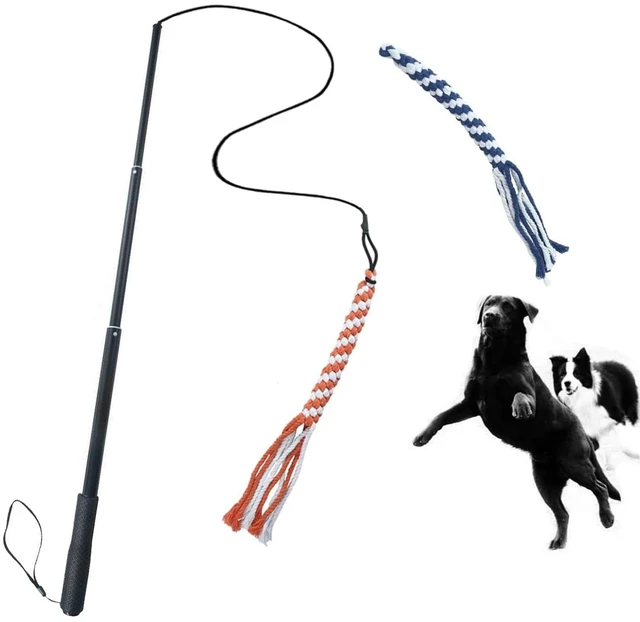 Main image of Dog Extendable Teaser Wand Pet Flirt Stick Pole Puppy Chasing Tail Interactive Toy for Small Medium Large Dogs Training Playing Exercise
