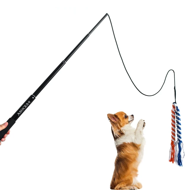 Alt view image 6 of 7 - Dog Extendable Teaser Wand Pet Flirt Stick Pole Puppy Chasing Tail Interactive Toy for Small Medium Large Dogs Training Playing Exercise