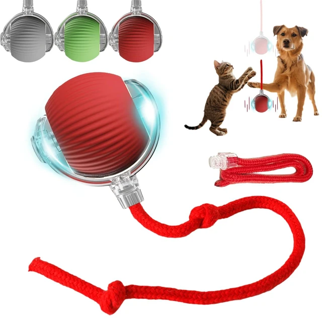 Main image of Interactive Dog Cat Toy Ball, Automatic Moving Bouncing Rolling, with Replacement Tail, Pet Smart Chase Ball Rechargeable, Enrichment Toys for Bored Indoor Adult Cats/Dogs
