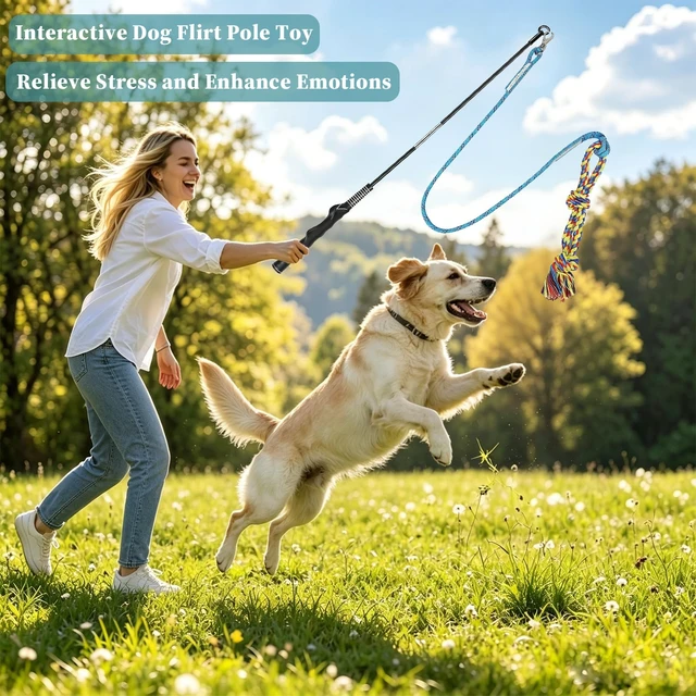 Alt view image 2 of 7 - Flirt Pole for Dogs, Interactive Pole for Small Medium Large Dogs | Durable&Chew-Proof, Instantly Grabs Dog's Attention, Easy Installation, Comfortable Handle, Suitable for Indoor & Outdoor