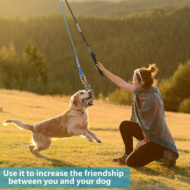 Alt view image 7 of 7 - Flirt Pole for Dogs, Interactive Pole for Small Medium Large Dogs | Durable&Chew-Proof, Instantly Grabs Dog's Attention, Easy Installation, Comfortable Handle, Suitable for Indoor & Outdoor