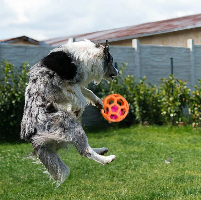 Alt view image 2 of 7 - 4 Pack Cat Dog Toy Balls with Bell | 9cm Durable Hollow Hexagonal Plastic Balls for Small Medium Dogs & Cats, Interactive Fetch Chew Toys for Indoor Outdoor Play