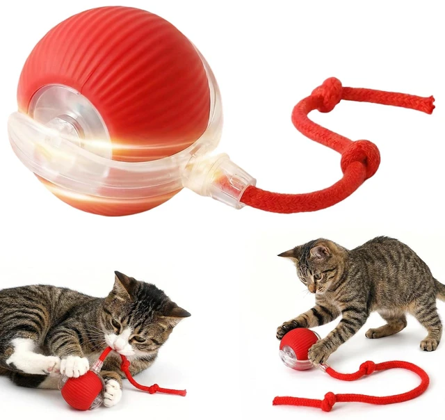 Main image of Interactive electric automatic 360 rolling USB rechargeable motion-sensing toy smart chasing cat ball, equipped with a quick tail rope, specially designed for active adult cats and indoor dogs.