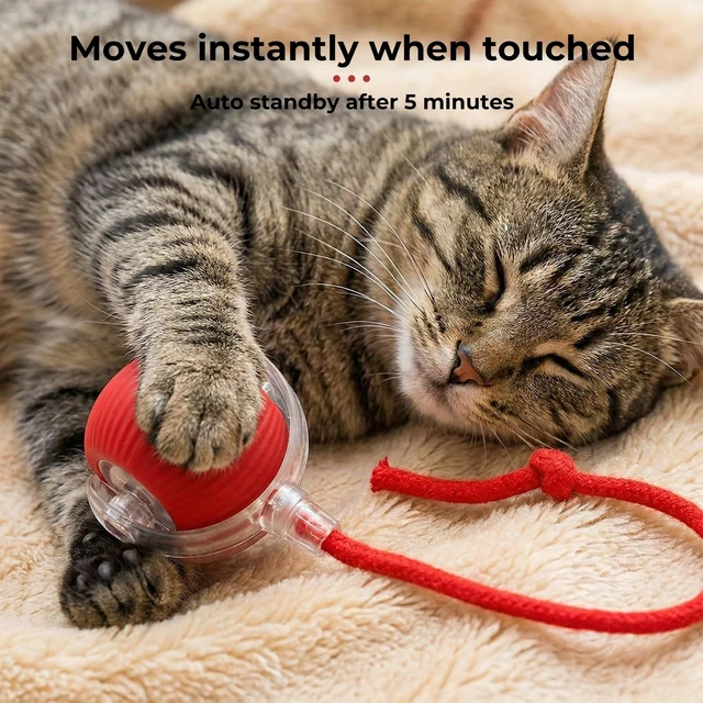 Alt view image 6 of 7 - Interactive electric automatic 360 rolling USB rechargeable motion-sensing toy smart chasing cat ball, equipped with a quick tail rope, specially designed for active adult cats and indoor dogs.