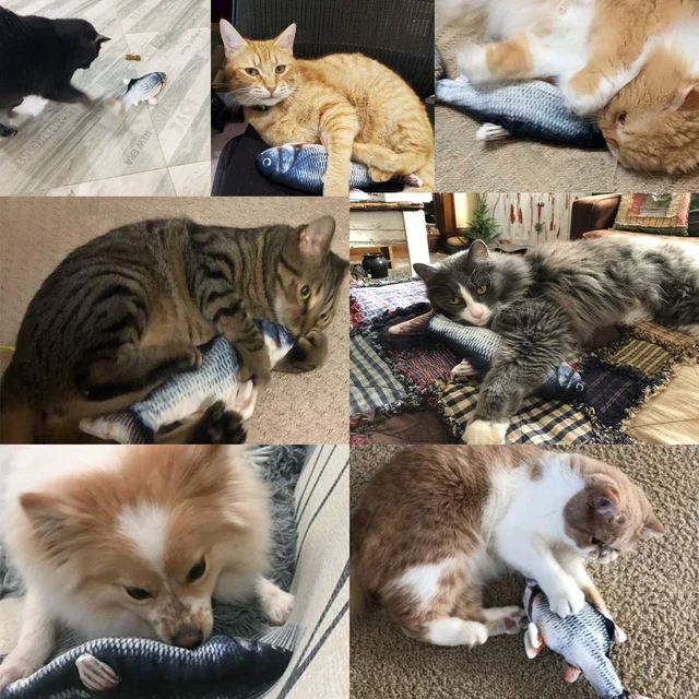 Alt view image 7 of 7 - Cat Toys Flopping Fish with Catnip, Moving Interactive Cat Toy | Cat Toy for Bored Indoor Cats, Kitten Kicker Floppy Dog Toy, 11" Electric Realistic Plush Wiggle Fish for Kitty Exercise