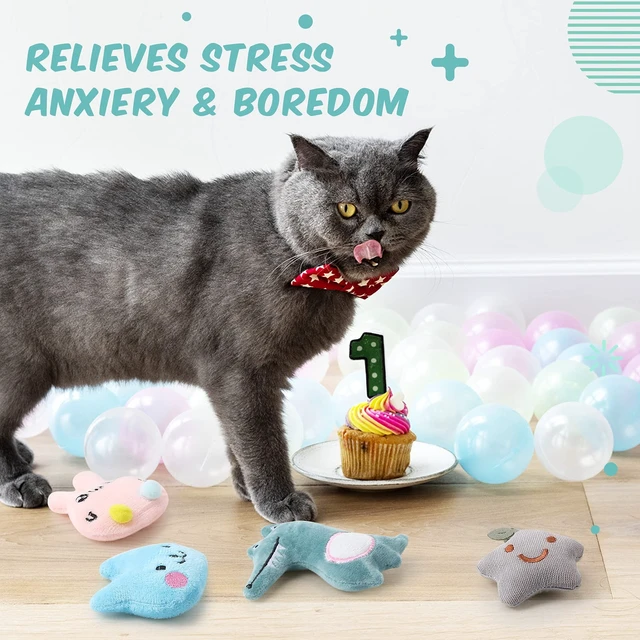 Alt view image 5 of 6 - 20 Pack Catnip Toys for Indoor Cat Plush Chew Toy for Kitten | Bulk Animal Fruit Shapes, Plush Fillers Party Favors, Fabric Catnip Teeth Cleaning Interactive, Chewing Entertaining Dog Toys