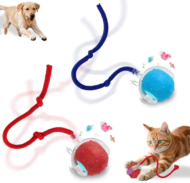 Main image of Interactive Cat Toys Smart Ball for Cats & Dogs! Now with 2 Rapid Tails. Features: 360°Auto-Rolling, Motion Activation& Bird Sounds. Perfect for Indoor Pet Exercise & Fun. (RedBlue)