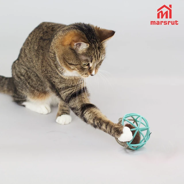 Alt view image 5 of 7 - Squeaky Mouse Ball Cat Toy with Simulated Sound, 4.3in Mouse Ball Cage, Squeky Balls for Cats to Play With Indoor, Interactive Plastic Squeak Funny Toys Best for Playing Chasing Chewing Training