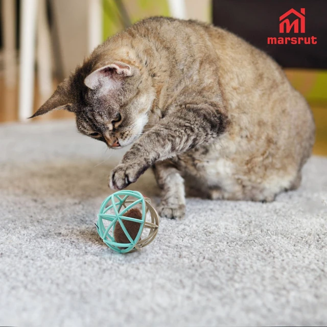 Alt view image 6 of 7 - Squeaky Mouse Ball Cat Toy with Simulated Sound, 4.3in Mouse Ball Cage, Squeky Balls for Cats to Play With Indoor, Interactive Plastic Squeak Funny Toys Best for Playing Chasing Chewing Training