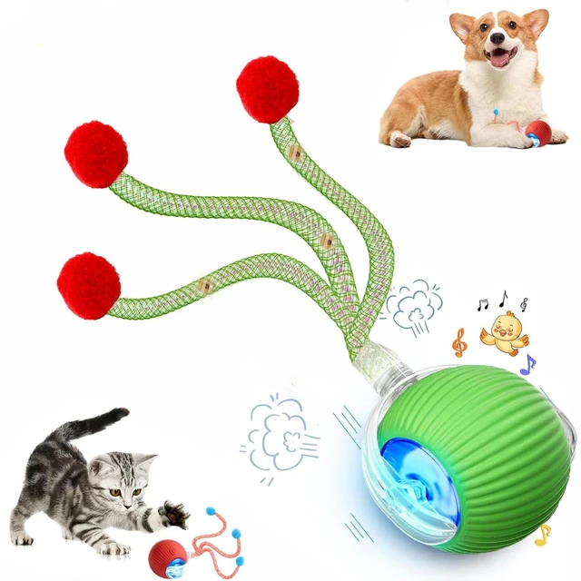 Main image of Speed 2.0 Tail Interactive Cat Toys for Indoor Cats, Moving Cat Toy | Chirping & Motion Activate Cat Toy, Smart Kitten Toys Rolling Ball Moving Ball, Electric Dog Cat Ball for Enrichment Exercise