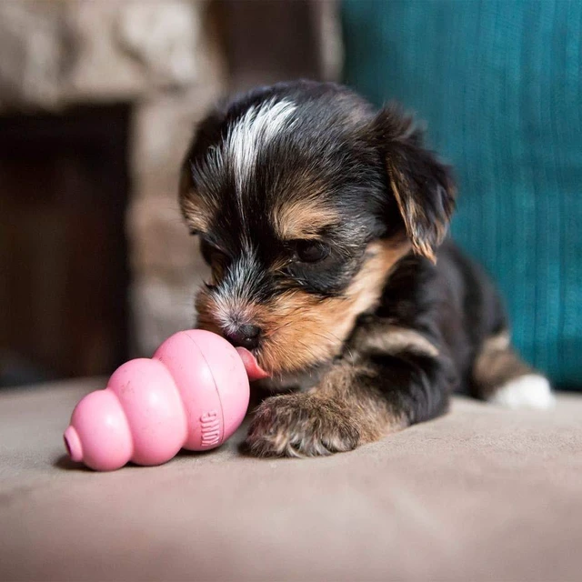 Alt view image 2 of 7 - Puppy, Natural Rubber Teething Chew Toy, for XS Puppies, Blue | Gentle Natural Teething Rubber Toy, Stuffable for Treats & Built for Chewing & Fetch with Growing Puppies