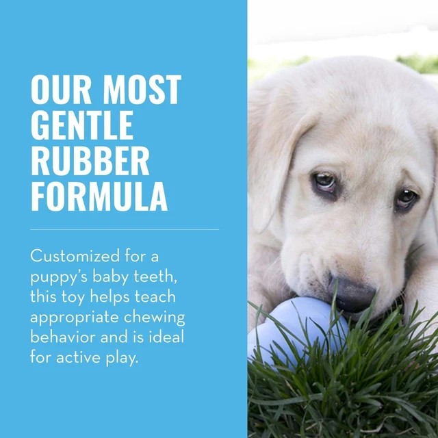Alt view image 3 of 7 - Puppy, Natural Rubber Teething Chew Toy, for XS Puppies, Blue | Gentle Natural Teething Rubber Toy, Stuffable for Treats & Built for Chewing & Fetch with Growing Puppies