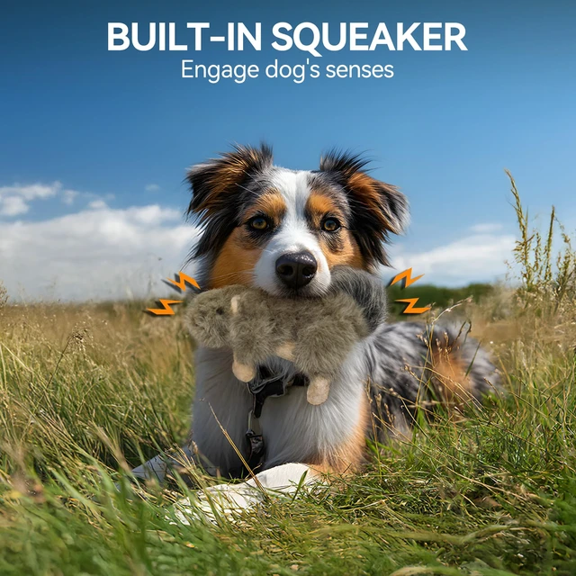 Alt view image 2 of 7 - Interactive Dog Squirrel Plush Squeaky Toy - Perfect Puppy Enrichment Toy, Large