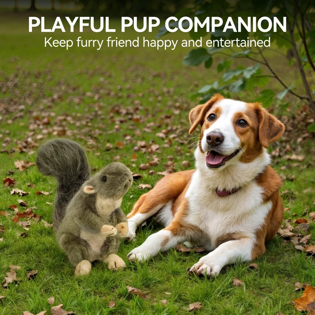 Alt view image 6 of 7 - Interactive Dog Squirrel Plush Squeaky Toy - Perfect Puppy Enrichment Toy, Large
