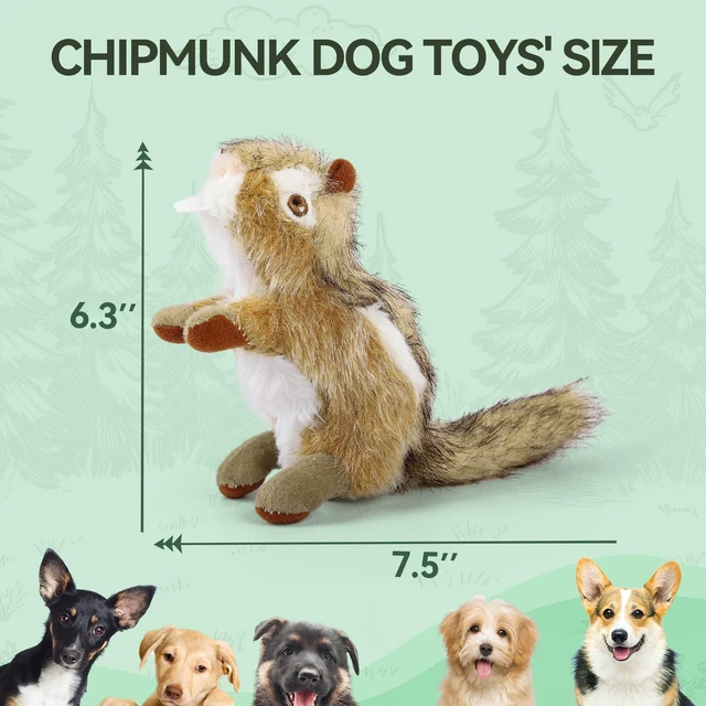 Alt view image 2 of 7 - Squirrel Squeaky Doy Toy, Squirrel Dog Toy for Small Medium Breed, Puppy Fetch Toy with Squeaker, Plush Chew Dog Toy, 5.9 x 4.3 x 2.8 inches, Classic-Chipmunk S